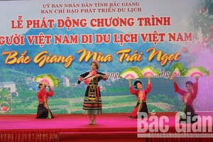 “北江省水果造”的“國人在國內旅遊”活動開幕式文藝表演節目。（圖源：北江報）