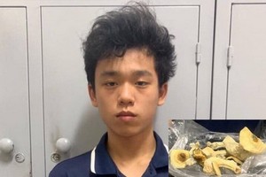 被捕的嫌犯阮陳俊方與“迷幻蘑菇”的毒品物證（小圖）。（圖源：警方提供）