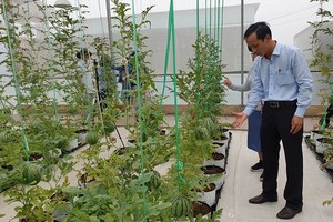 福門縣生態園一角（前此是東盛垃圾場）。