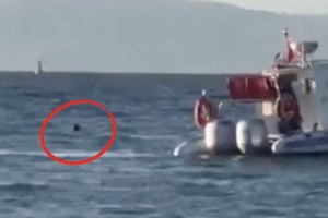 該男子在與餐廳員工爭執後奪門而出並跳進愛琴海，向隔海的希臘小島遊了3公里後，被海警巡邏隊追回。（圖源：互聯網）