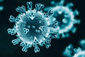 截止越南時間22日4時，全球新冠肺炎累計確診病例超900萬。（示意圖源：互聯網）