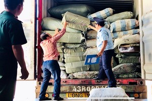 職能力量在驗貨場查獲 5 個冒充草藥的集裝箱。（圖源：海州）