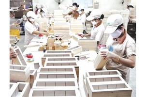 疫情後促進可持續性全面增長