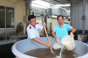 職能力量在配製溶液將不經檢疫的種蝦進行銷毀。（圖源：VTV）