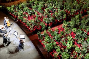 劇院裏的觀眾席裡“坐滿”了綠植，此舉是為了以提高人們對觀眾重要性的認識。（圖源：互聯網）