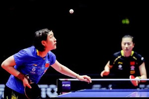 乒乓球（圖源：互聯網）