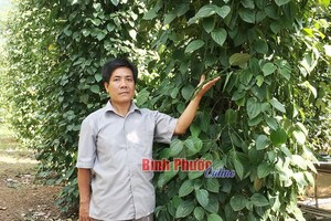 圖為平福省祿寧縣祿晉鄉1B村鄧文俊老農家向記者介紹自家的胡椒園。（圖源：平福在線）