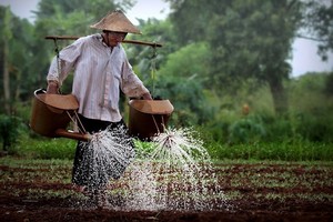 （示意圖源：互聯網）