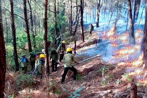 職能力量致力控制火勢。（圖源：高鸞）