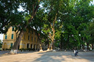 （示意圖源：互聯網）