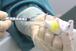 （示意圖源：互聯網）