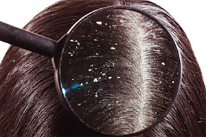 （示意圖源：互聯網）