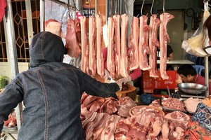 消費者選購豬肉。（圖源：藍儀）