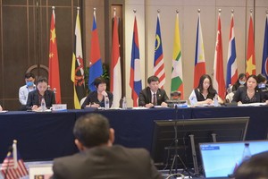 第十七屆中國-東盟博覽會高官會暨投資合作工作視頻連線會議。