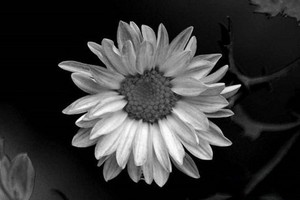 （示意圖源：互聯網）  