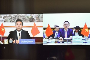 外交部副部長、越南-中國雙方合作指委會越方秘書長黎懷忠（右圖）與中國外交部副部長、越南-中國雙方合作指委會中方秘書長羅照輝舉行視像會議。（圖源：孟雄）