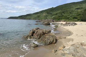 遊客罕至的寵草海灘。