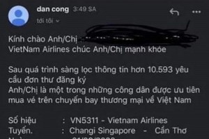 冒充越航代表向人們發佈邀請購買返國機票的詐騙郵件內容。（圖源：PV）