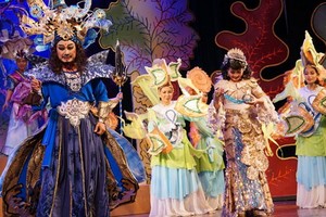 IDECAF舞台每年都表演的“很久，很久以前”兒童節目如今也停演了。