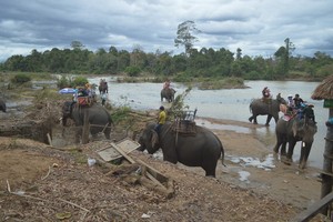 圖為遊客騎大象遊玩別殿旅遊區。（圖源：高原）