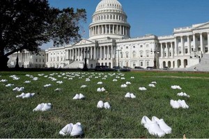 擺放在美國國會山外的白鞋。（圖源：互聯網）