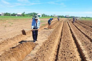 （示意圖源：互聯網）