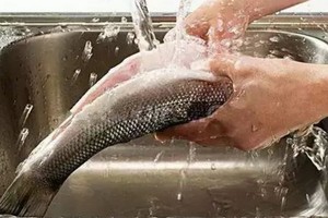 （示意圖源：互聯網）