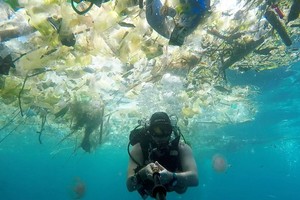 根據發表的一份最新研究，每年流入海洋、導致海洋生物死亡的塑料垃圾量，20年後恐達到目前的3倍。（示意圖源：互聯網）