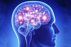 （示意圖源：互聯網）