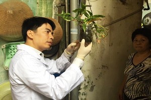 中央流行病衛生院的衛生防疫專家在河內市還劍郡某民戶檢查可能成為孑孓窩的儲水器皿。