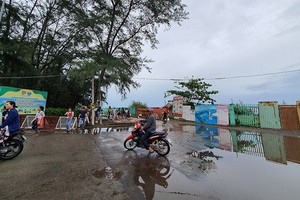 芹耶填海項目規劃區的一角。