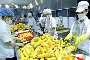 農產品出口額下降。