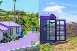 放眼望去，整座島嶼的道路房屋以及電話亭全漆上紫色。（圖源：互聯網）