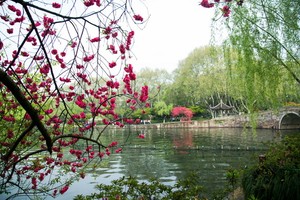 （示意圖源：互聯網）