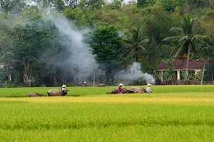 （示意圖源：互聯網）