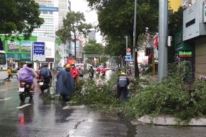 范春壽公證行門前的一顆酸子樹連根拔起。（圖源：福全）