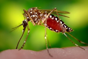 （示意圖源：互聯網）