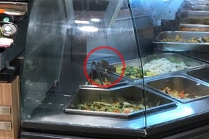 兩隻老鼠（紅圈示）爬在食品攤位盛放食物盤上覓食。（圖源：T.T.B）