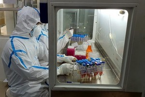 峴港 CDC新冠病毒檢測。（圖源：黎寶）