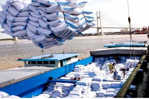 圖為大米出口裝船。（示意圖源：互聯網）