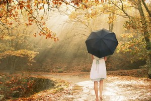 （示意圖源：互聯網）