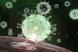 （示意圖源：互聯網）