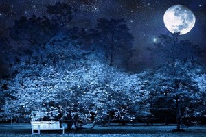 （示意圖源：互聯網）