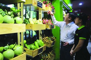 消費者選購達VietGAP標準的水果。（圖源：互聯網）