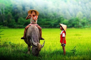 （示意圖源：互聯網）