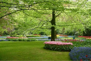 （示意圖源：互聯網）