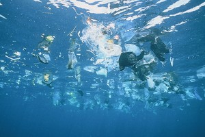 大西洋漂浮千萬噸微塑料垃圾。（圖源：互聯網）