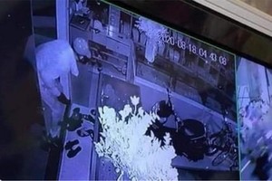 竊匪走下一樓關閉監察系統電源並竊走大量財產。（圖源：監控視頻截圖）