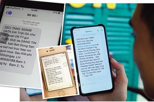 政府最近就防打垃圾短信、電子郵件和電話頒行第91號《議定》並於今年10月1日起生效。違規電話短信廣告，最高罰款１億元。（示意圖源：互聯網）