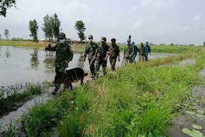 安江省邊防部隊在邊境便道上進行巡邏。（圖源：C.K）